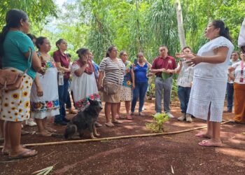Lengua maya en Yucatán: el reto de recuperar espacios de uso cotidiano