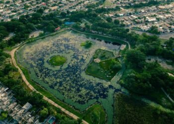 Detectan ameba Naegleria en seis lagos artificiales de Mérida; prohíben contacto con el agua