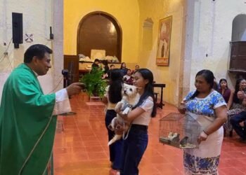 Bendicen a lomitos, michis y hasta gallos; así celebraron a San Francisco de Asís