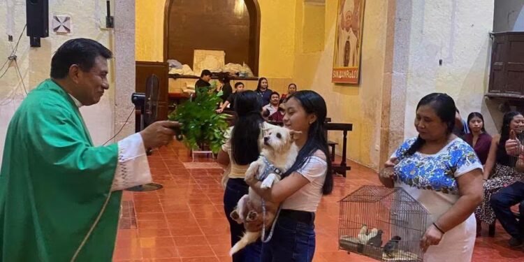 Bendicen a lomitos, michis y hasta gallos; así celebraron a San Francisco de Asís
