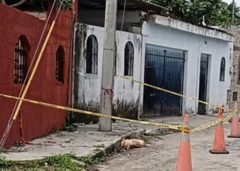 ¿Quién debe retirar el cable? Lomito muere electrocutado y crece el temor vecinal