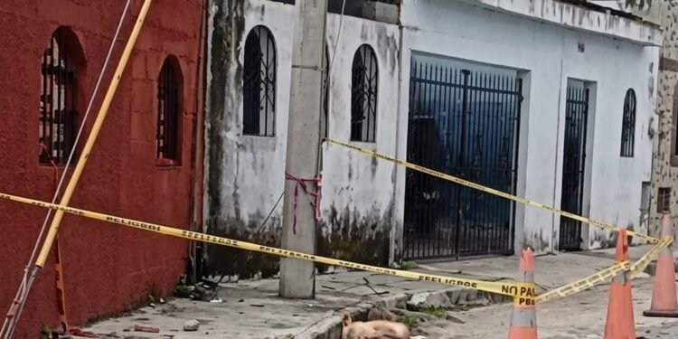 ¿Quién debe retirar el cable? Lomito muere electrocutado y crece el temor vecinal