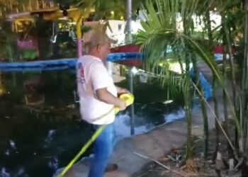 Dos parques de Mérida, bajo alerta por amebas. Estos son
