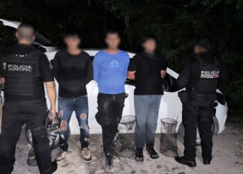 Los sorprendieron con trampas: primera detención por extraer tortuga casquito