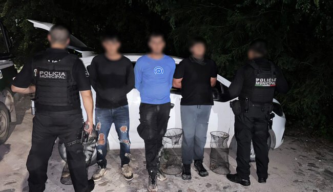 Los sorprendieron con trampas: primera detención por extraer tortuga casquito