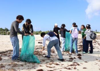 ¡Más de media tonelada de basura fuera de la playa de Progreso!